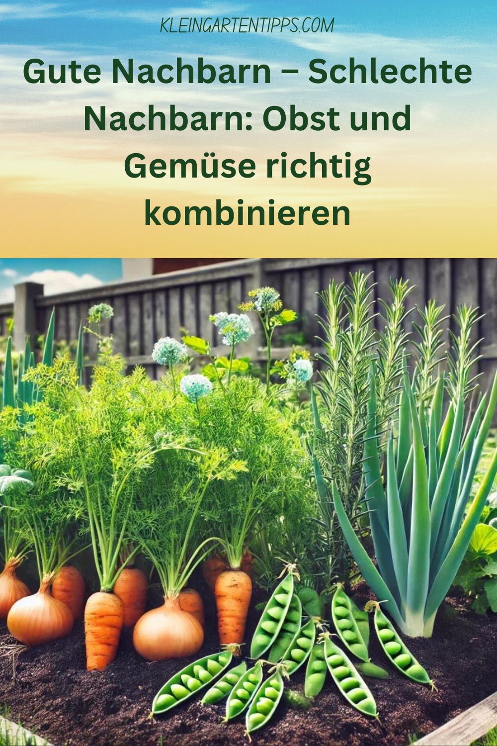 Gute Nachbarn – Schlechte Nachbarn: Obst und Gemüse richtig kombinieren